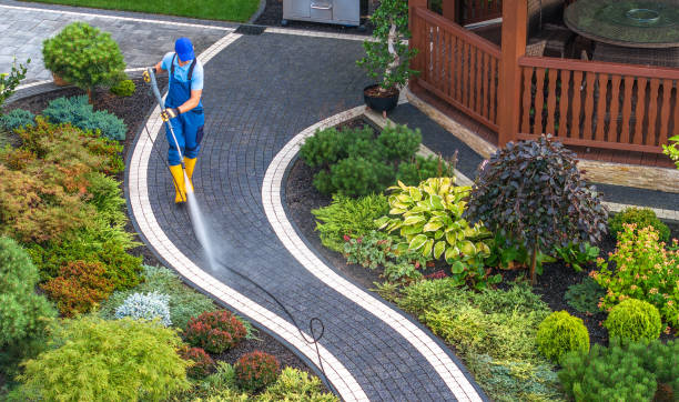 Local Pressure Washing Services in Rosaryville, MD